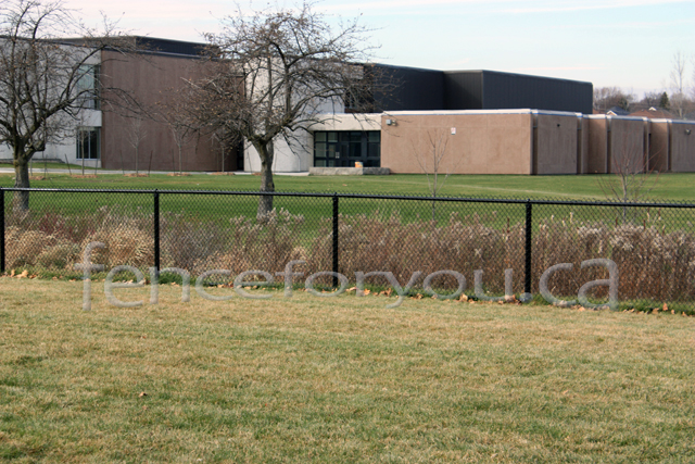 Chain Link fence picture