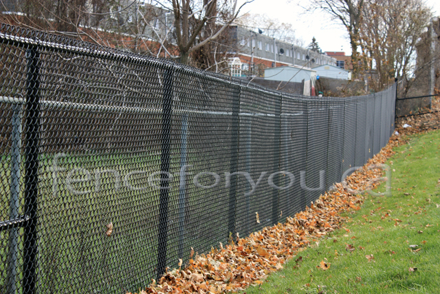 Chain Link fence picture