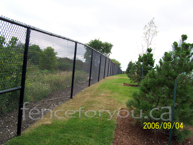 Chain Link fence picture