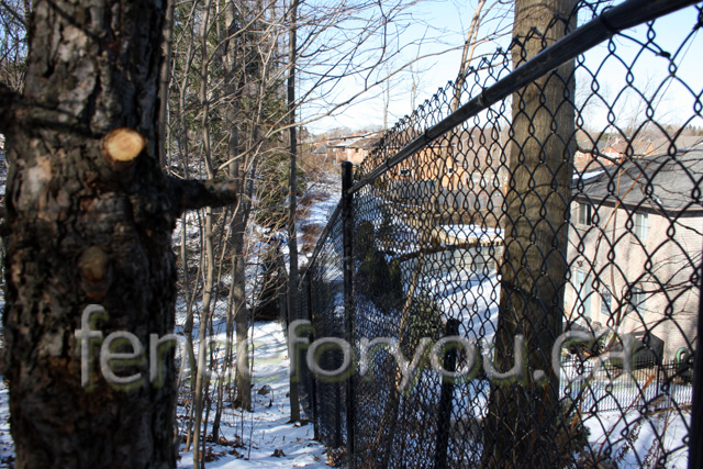 Chain Link fence picture