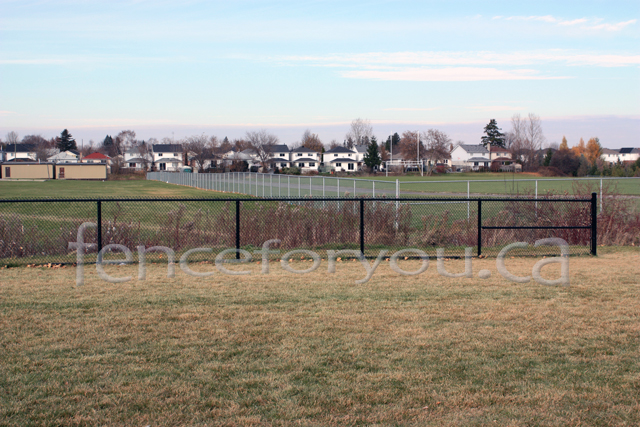 Chain Link fence picture