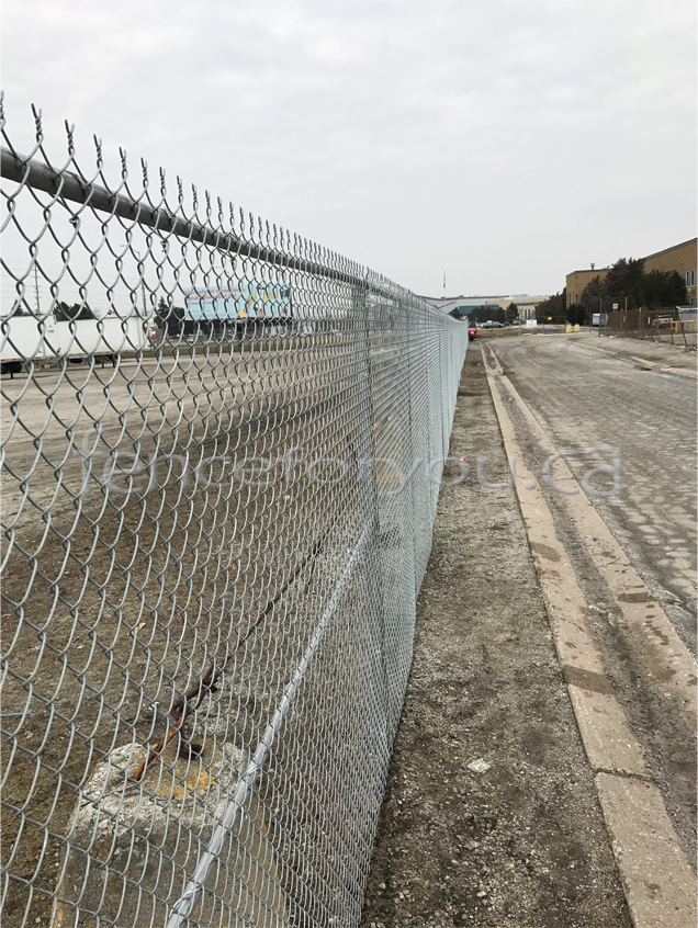 Chain Link fence picture