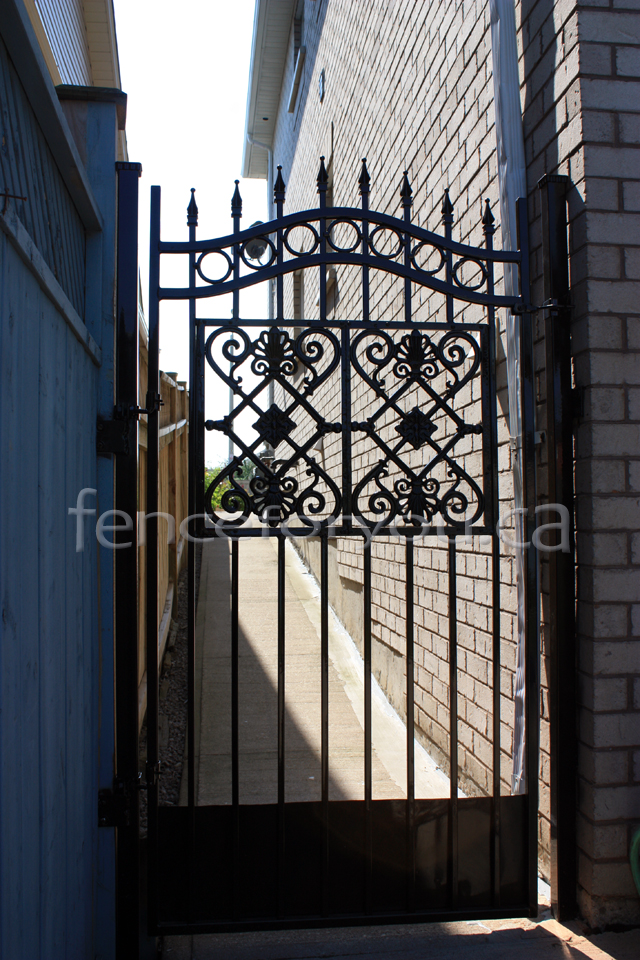 Fence Picture