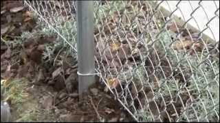Replacement of damaged Chain Link fence youtubeone